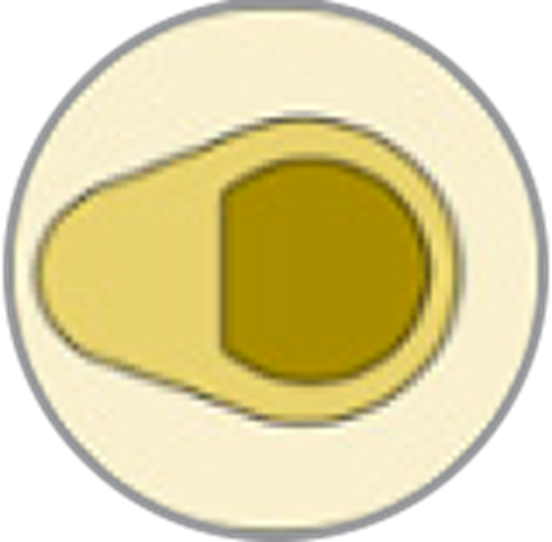 Firing pin shape: Circle