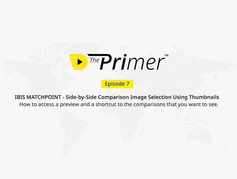 The Primer: Episode 7