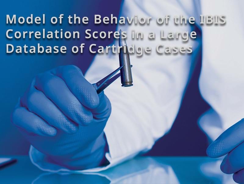 Model of the Behavior of the IBIS Correlation Scores in a Large Database of Cartridge Cases